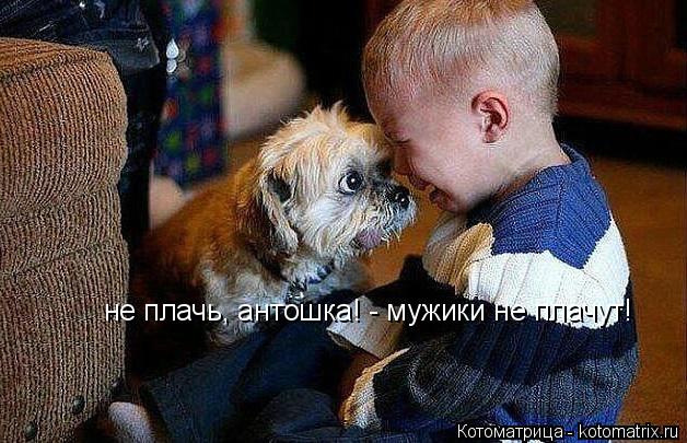 не плачь, антошка! - мужики не плачут!... Котоматрица: не плачь, антошка! - мужики не плачут!