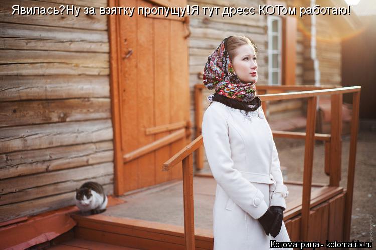 Явилась?Ну за взятку пропущу!Я тут дресс КОТом работаю!... Котоматрица: Явилась?Ну за взятку пропущу!Я тут дресс КОТом работаю!