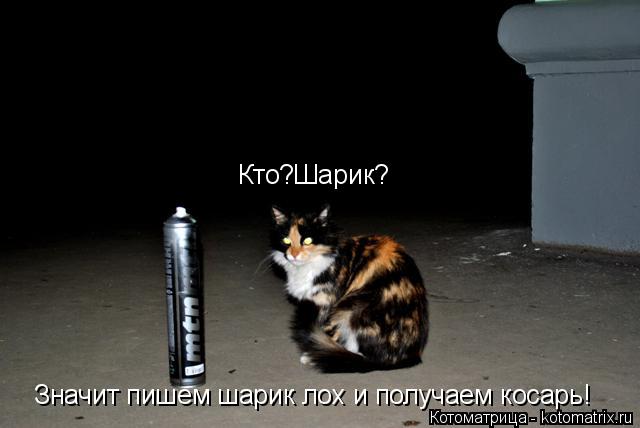 Кто?Шарик? Значит пишем шарик лох и получаем косарь!... Котоматрица: Кто?Шарик? Значит пишем шарик лох и получаем косарь!
