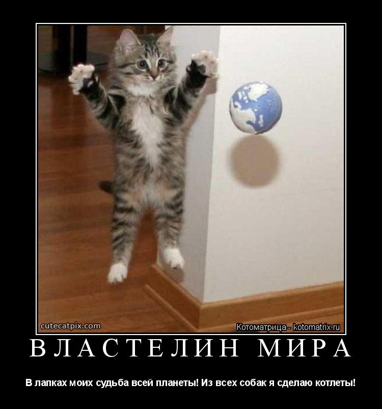 ВЛАСТЕЛИН МИРА В лапках моих судьба всей планеты! Из всех собак я сделаю котлеты!... Котоматрица: ВЛАСТЕЛИН МИРА В лапках моих судьба всей планеты! Из всех собак я сделаю котлеты!