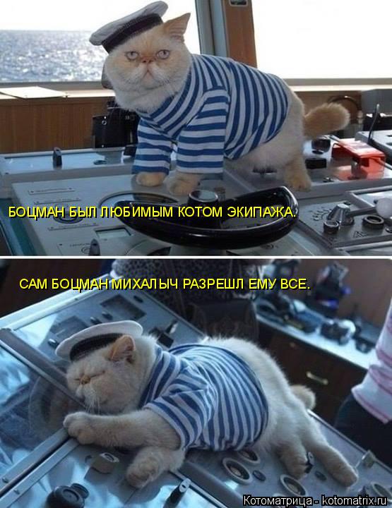 БОЦМАН БЫЛ ЛЮБИМЫМ КОТОМ ЭКИПАЖА. САМ БОЦМАН МИХАЛЫЧ РАЗРЕШЛ ЕМУ ВСЕ.... Котоматрица: БОЦМАН БЫЛ ЛЮБИМЫМ КОТОМ ЭКИПАЖА. САМ БОЦМАН МИХАЛЫЧ РАЗРЕШЛ ЕМУ ВСЕ.