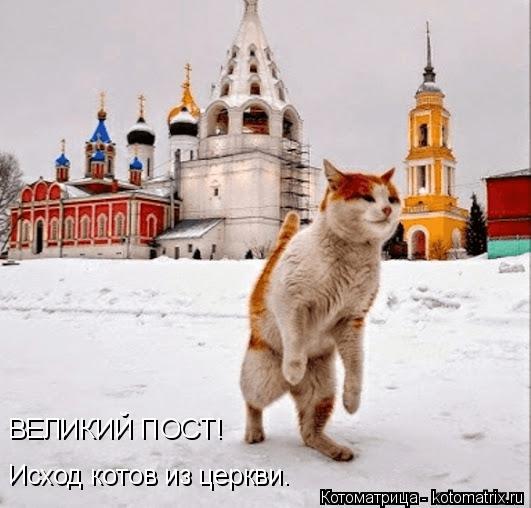 ВЕЛИКИЙ ПОСТ! Исход котов из церкви.... Котоматрица: ВЕЛИКИЙ ПОСТ! Исход котов из церкви.