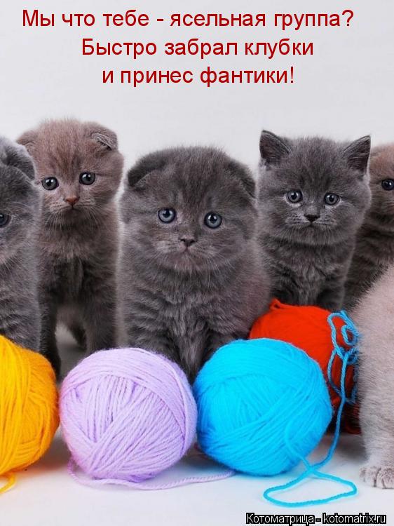 Мы что тебе - ясельная группа? Быстро забрал клубки и принес фантики!... Котоматрица: Мы что тебе - ясельная группа? Быстро забрал клубки и принес фантики!
