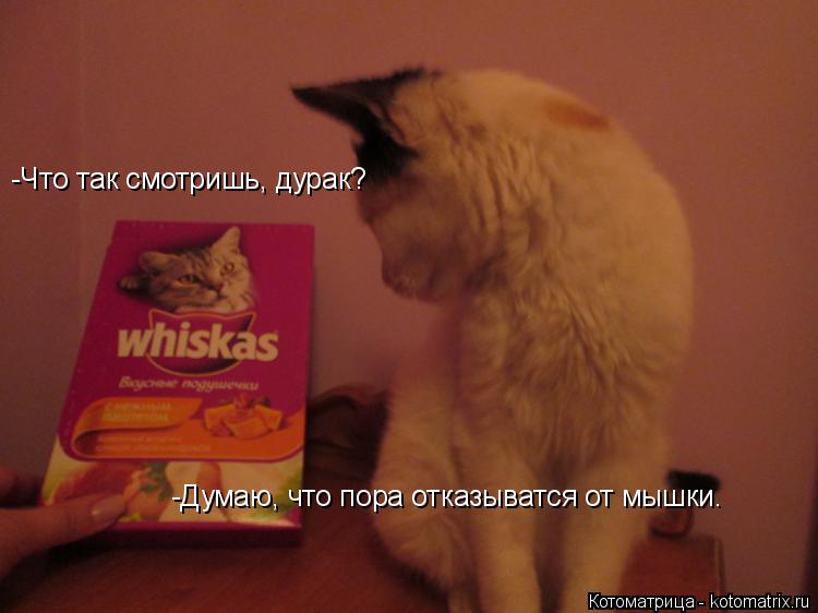 -Что так смотришь, дурак? -Думаю, что пора отказыватся от мышки.... Котоматрица: -Что так смотришь, дурак? -Думаю, что пора отказыватся от мышки.