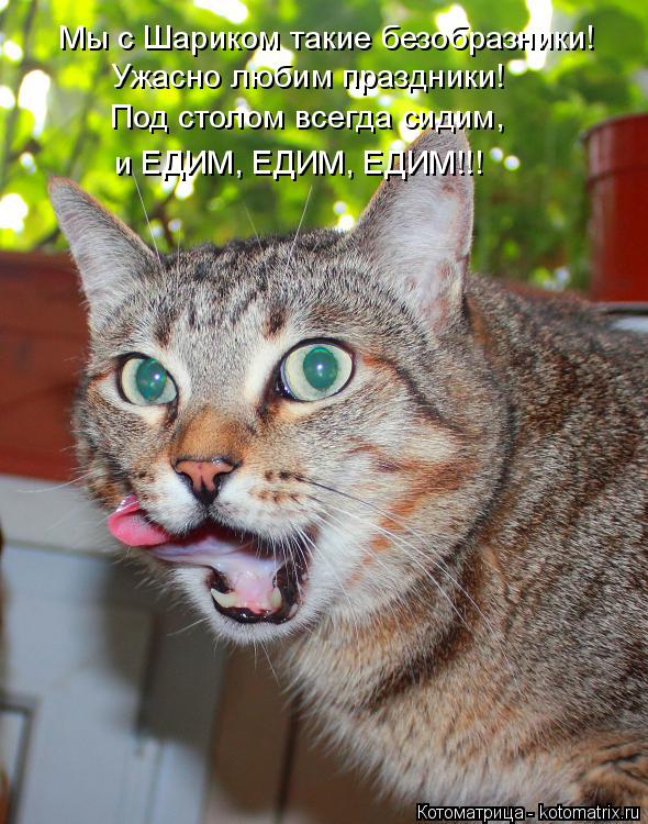 Мы с Шариком такие безобразники! Ужасно любим праздники! Под столом всегда сидим, и ЕДИМ, ЕДИМ, ЕДИМ... Котоматрица: Мы с Шариком такие безобразники! Ужасно любим праздники! Под столом всегда сидим, и ЕДИМ, ЕДИМ, ЕДИМ!!!
