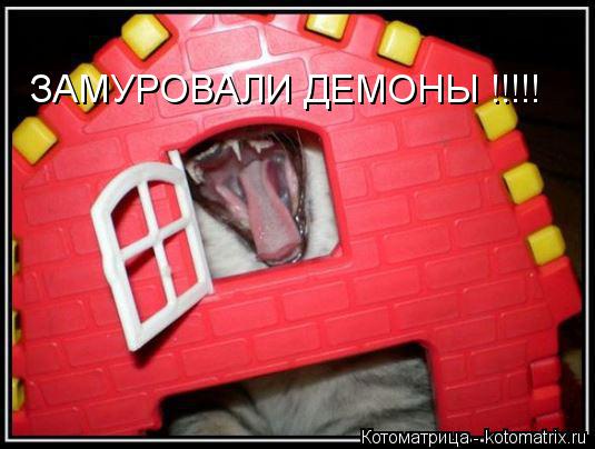ЗАМУРОВАЛИ ДЕМОНЫ !!!!!... Котоматрица: ЗАМУРОВАЛИ ДЕМОНЫ !!!!!