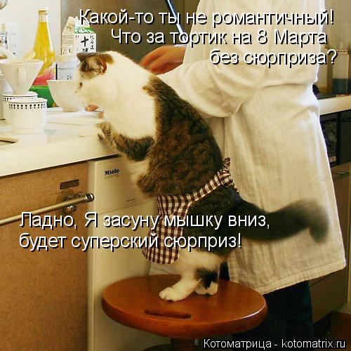 Котоматрица: Какой-то ты не романтичный! Что за тортик на 8 Марта без сюрприза? Ладно, Я засуну мышку вниз, будет суперский сюрприз!