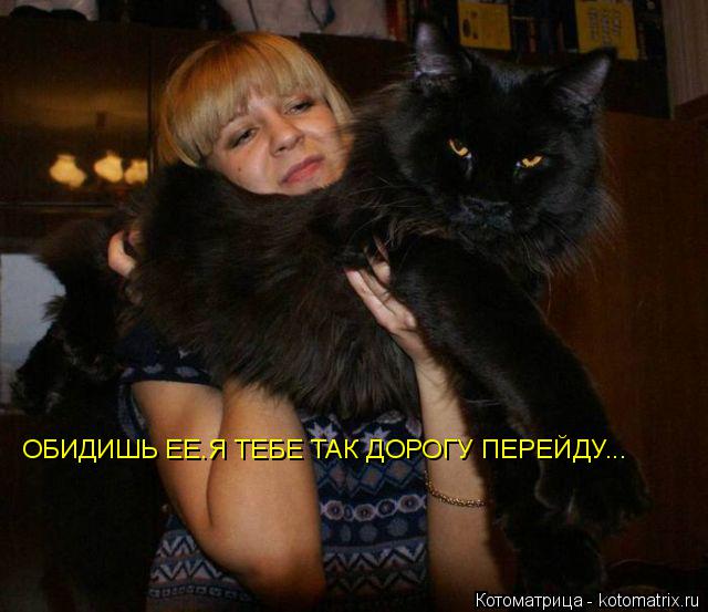 ОБИДИШЬ ЕЕ.Я ТЕБЕ ТАК ДОРОГУ ПЕРЕЙДУ...... Котоматрица: ОБИДИШЬ ЕЕ.Я ТЕБЕ ТАК ДОРОГУ ПЕРЕЙДУ...