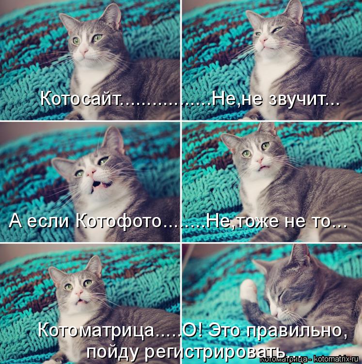 Котосайт.................Не,не звучит... А если Котофото........Не,тоже не то... Котоматрица.....О! Э... Котоматрица: Котосайт.................Не,не звучит... А если Котофото........Не,тоже не то... Котоматрица.....О! Это правильно, пойду регистрировать...