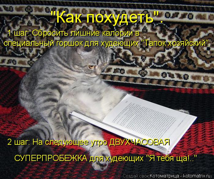 Котоматрица: "Как похудеть". 1 шаг: Сбросить лишние калории в  специальный горшок для худеющих "Тапок хозяйский".  2 шаг: На следующее утро ДВУХЧАСОВАЯ    СУП