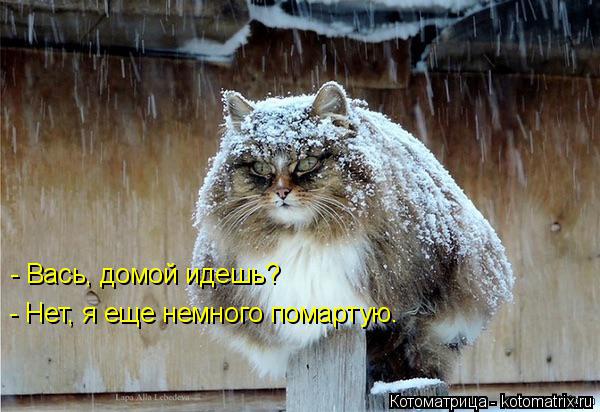 - Вась, домой идешь? - Нет, я еще немного помартую.... Котоматрица: - Вась, домой идешь? - Нет, я еще немного помартую.