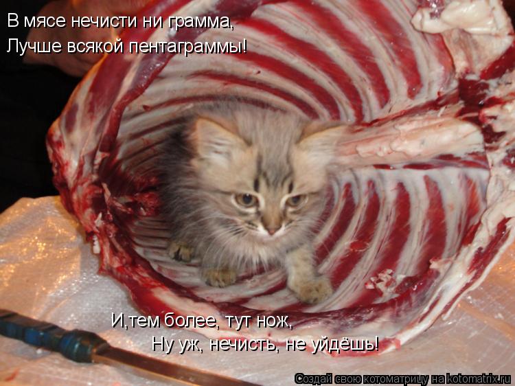Котоматрица: В мясе нечисти ни грамма, Лучше всякой пентаграммы! И,тем более, тут нож, Ну уж, нечисть, не уйдёшь!