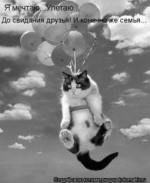 Котоматрица: Я мечтаю...Улетаю... До свидания друзья! И конечно же семья...