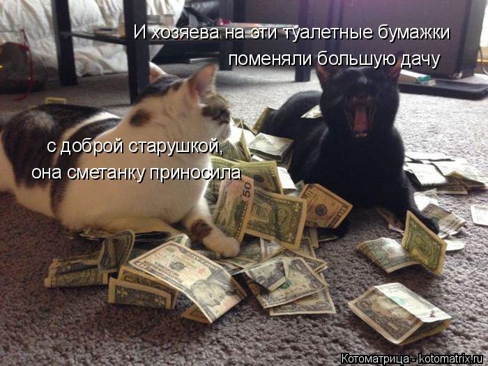 И хозяева на эти туалетные бумажки поменяли большую дачу с доброй старушкой, она сметанку приносила... Котоматрица: И хозяева на эти туалетные бумажки поменяли большую дачу с доброй старушкой, она сметанку приносила