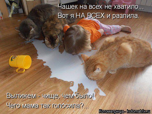 Чашек на всех не хватило... Вот я НА ВСЕХ и разлила. Вылижем - чище, чем было! Чего мама так голосила... Котоматрица: Чашек на всех не хватило... Вот я НА ВСЕХ и разлила. Вылижем - чище, чем было! Чего мама так голосила?...