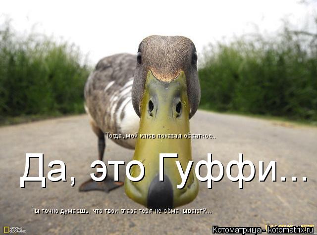 Ты точно думаешь, что твои глаза тебя не обманывают?... Тогда, мой клюв показал обратное.. Да, это Гу... Котоматрица: Ты точно думаешь, что твои глаза тебя не обманывают?... Тогда, мой клюв показал обратное.. Да, это Гуффи...