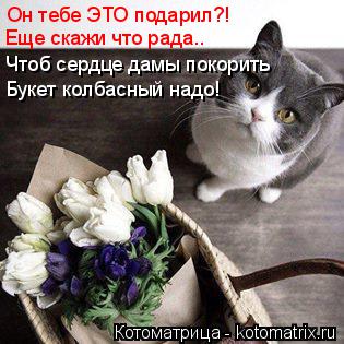 Он тебе ЭТО подарил?! Еще скажи что рада.. Чтоб сердце дамы покорить Букет колбасный надо!... Котоматрица: Он тебе ЭТО подарил?! Еще скажи что рада.. Чтоб сердце дамы покорить Букет колбасный надо!
