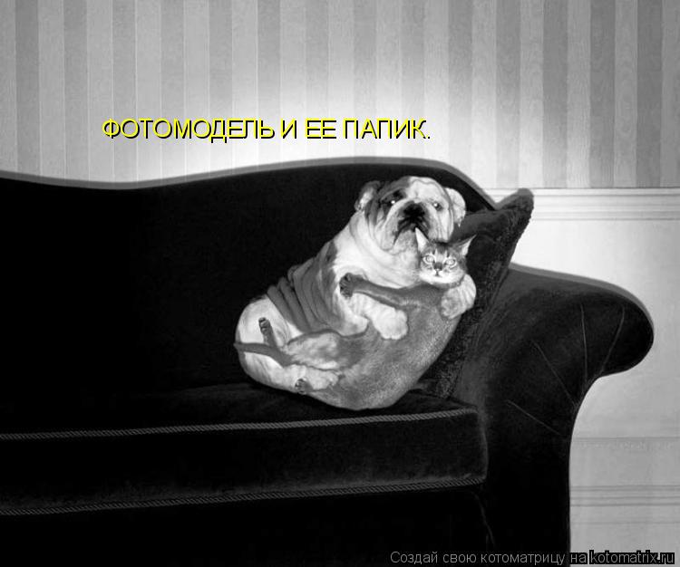 Котоматрица: ФОТОМОДЕЛЬ И ЕЕ ПАПИК.