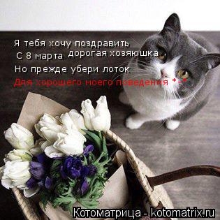 Котоматрица: Я тебя хочу поздравить С 8 марта дорогая хозяюшка Но прежде убери лоток Для хорошего моего поведения *-*