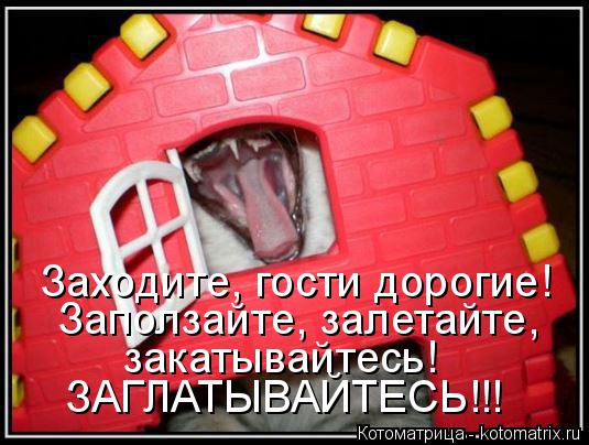 Заходите, гости дорогие! Заползайте, залетайте, закатывайтесь! ЗАГЛАТЫВАЙТЕСЬ!!!... Котоматрица: Заходите, гости дорогие! Заползайте, залетайте, закатывайтесь! ЗАГЛАТЫВАЙТЕСЬ!!!