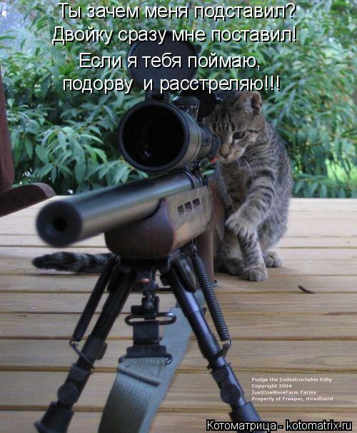 Ты зачем меня подставил? Двойку сразу мне поставил! Если я тебя поймаю, подорву и расстреляю!!!... Котоматрица: Ты зачем меня подставил? Двойку сразу мне поставил! Если я тебя поймаю, подорву и расстреляю!!!