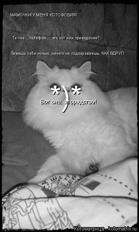 Лежишь себе ночью, ничего не подозреваешь. КАК ВДРУГ! Те-тее....телефон.... это кот или приведение? М... Котоматрица: Лежишь себе ночью, ничего не подозреваешь. КАК ВДРУГ! Те-тее....телефон.... это кот или приведение? МАМОЧКИ!У МЕНЯ КОТОФОБИЯ! *)* Вот оно, злорадс