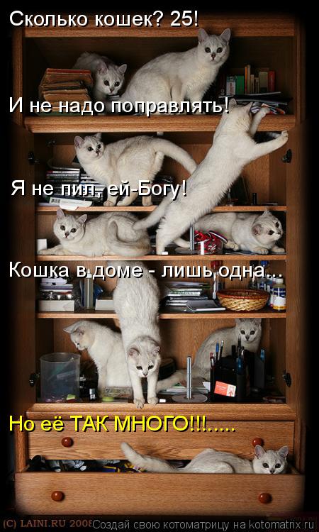 Сколько кошек? 25! И не надо поправлять! Я не пил, ей-Богу! Кошка в доме - лишь одна... Но её ТАК МН... Котоматрица: Сколько кошек? 25! И не надо поправлять! Я не пил, ей-Богу! Кошка в доме - лишь одна... Но её ТАК МНОГО!!!.....