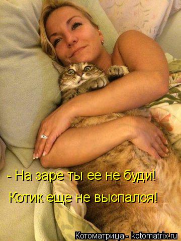 - На заре ты ее не буди! Котик еще не выспался!... Котоматрица: - На заре ты ее не буди! Котик еще не выспался!