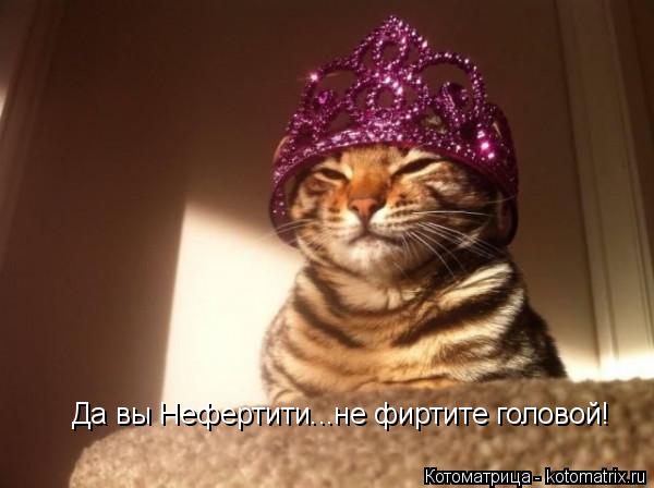 Да вы Нефертити...не фиртите головой!... Котоматрица: Да вы Нефертити...не фиртите головой!