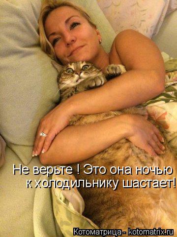 Не верьте ! Это она ночью к холодильнику шастает!... Котоматрица: Не верьте ! Это она ночью к холодильнику шастает!