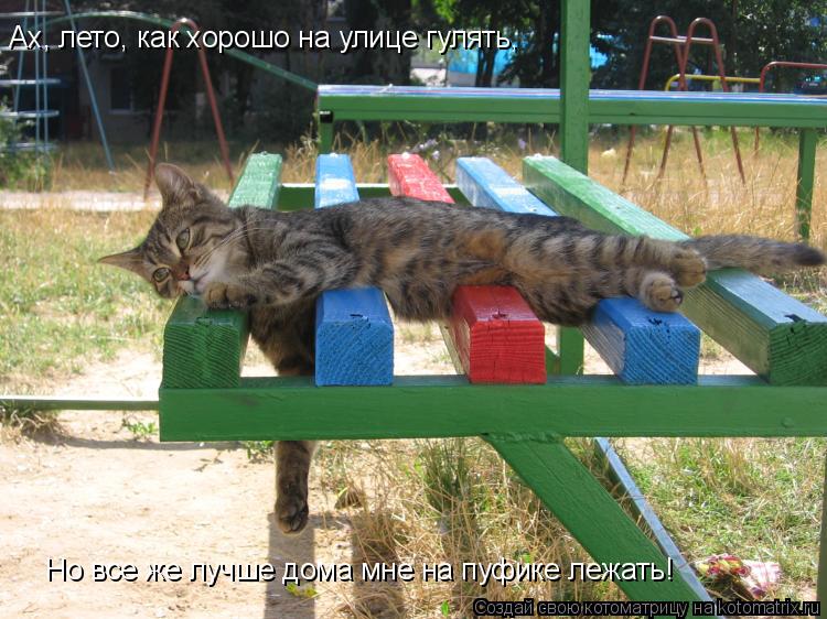 Ах, лето, как хорошо на улице гулять, Но все же лучше дома мне на пуфике лежать!... Котоматрица: Ах, лето, как хорошо на улице гулять, Но все же лучше дома мне на пуфике лежать!