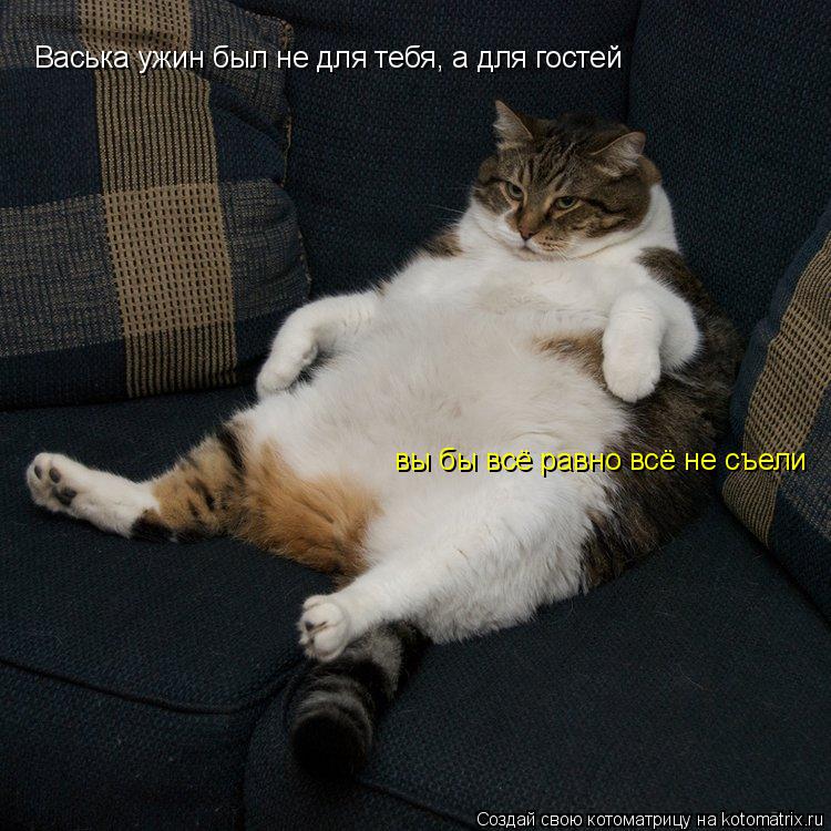 Васька ужин был не для тебя, а для гостей вы бы всё равно всё не съели... Котоматрица: Васька ужин был не для тебя, а для гостей вы бы всё равно всё не съели