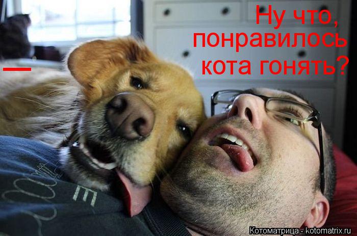 Котоматрица: _ Ну что, понравилось кота гонять?