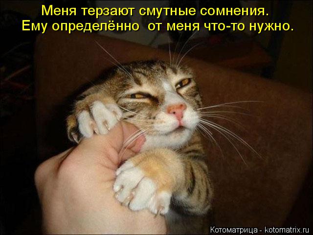 Меня терзают смутные сомнения. Ему определённо от меня что-то нужно.... Котоматрица: Меня терзают смутные сомнения. Ему определённо от меня что-то нужно.