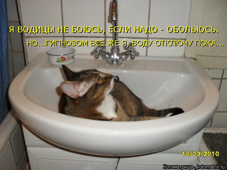 Я ВОДИЦЫ НЕ БОЮСЬ, ЕСЛИ НАДО - ОБОЛЬЮСЬ. НО...ГИПНОЗОМ ВСЁ ЖЕ Я, ВОДУ ОТКЛЮЧУ ПОКА...... Котоматрица: Я ВОДИЦЫ НЕ БОЮСЬ, ЕСЛИ НАДО - ОБОЛЬЮСЬ. НО...ГИПНОЗОМ ВСЁ ЖЕ Я, ВОДУ ОТКЛЮЧУ ПОКА...