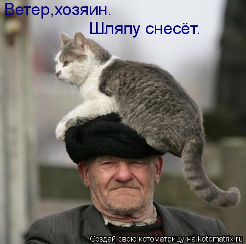 Ветер,хозяин. Шляпу снесёт.... Котоматрица: Ветер,хозяин. Шляпу снесёт.