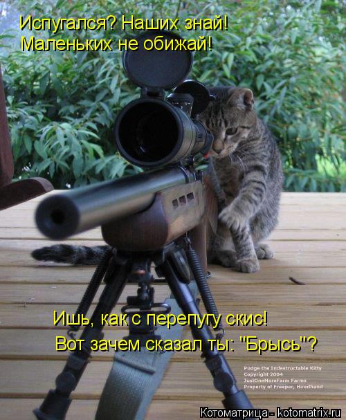 Испугался? Наших знай! Маленьких не обижай! Ишь, как с перепугу скис! Вот зачем сказал ты: "Брысь"?... Котоматрица: Испугался? Наших знай! Маленьких не обижай! Ишь, как с перепугу скис! Вот зачем сказал ты: "Брысь"?