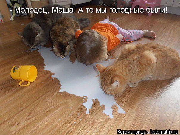 - Молодец, Маша! А то мы голодные были!... Котоматрица: - Молодец, Маша! А то мы голодные были!