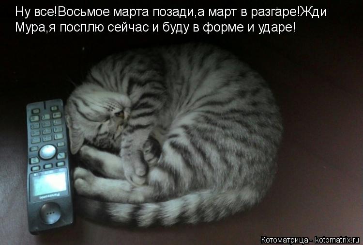 Ну все!Восьмое марта позади,а март в разгаре!Жди Мура,я посплю сейчас и буду в форме и ударе!... Котоматрица: Ну все!Восьмое марта позади,а март в разгаре!Жди Мура,я посплю сейчас и буду в форме и ударе!