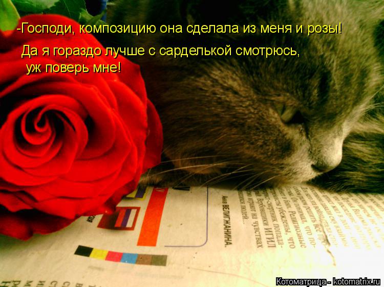 -Господи, композицию она сделала из меня и розы! Да я гораздо лучше с сарделькой смотрюсь, уж поверь... Котоматрица: -Господи, композицию она сделала из меня и розы! Да я гораздо лучше с сарделькой смотрюсь, уж поверь мне!