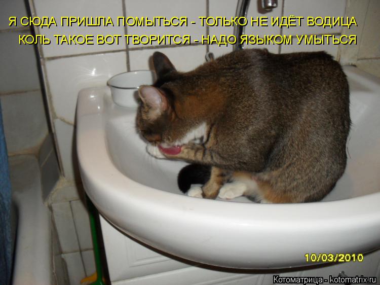 Я СЮДА ПРИШЛА ПОМЫТЬСЯ - ТОЛЬКО НЕ ИДЁТ ВОДИЦА КОЛЬ ТАКОЕ ВОТ ТВОРИТСЯ - НАДО ЯЗЫКОМ УМЫТЬСЯ... Котоматрица: Я СЮДА ПРИШЛА ПОМЫТЬСЯ - ТОЛЬКО НЕ ИДЁТ ВОДИЦА КОЛЬ ТАКОЕ ВОТ ТВОРИТСЯ - НАДО ЯЗЫКОМ УМЫТЬСЯ