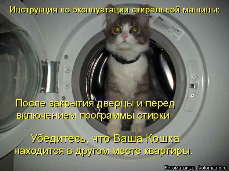 После закрытия дверцы и перед включением программы стирки Убедитесь, что Ваша Кошка Инструкция по экс... Котоматрица: После закрытия дверцы и перед включением программы стирки Убедитесь, что Ваша Кошка Инструкция по эксплуатации стиральной машины: находит