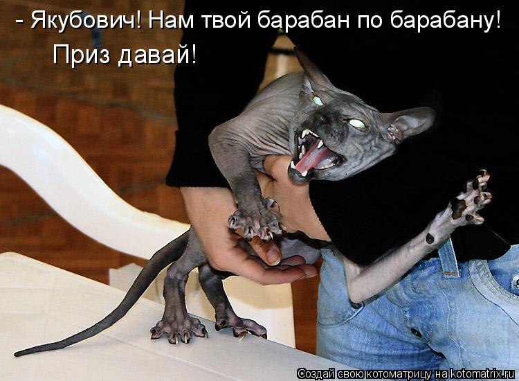 Котоматрица: - Якубович! Нам твой барабан по барабану! Приз давай!