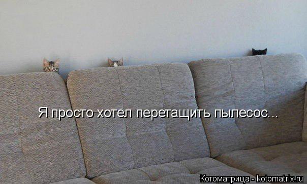 Я просто хотел перетащить пылесос...... Котоматрица: Я просто хотел перетащить пылесос...