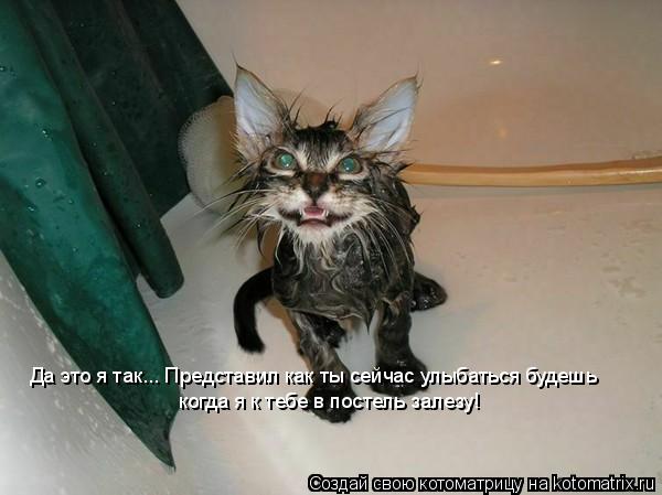 Да это я так... Представил как ты сейчас улыбаться будешь когда я к тебе в постель залезу!... Котоматрица: Да это я так... Представил как ты сейчас улыбаться будешь когда я к тебе в постель залезу!