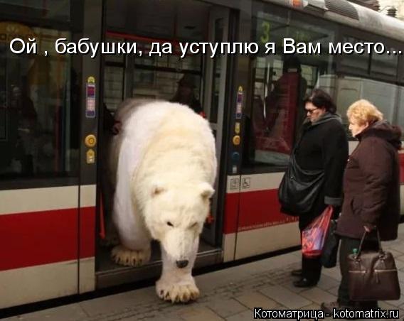 Ой , бабушки, да уступлю я Вам место...... Котоматрица: Ой , бабушки, да уступлю я Вам место...
