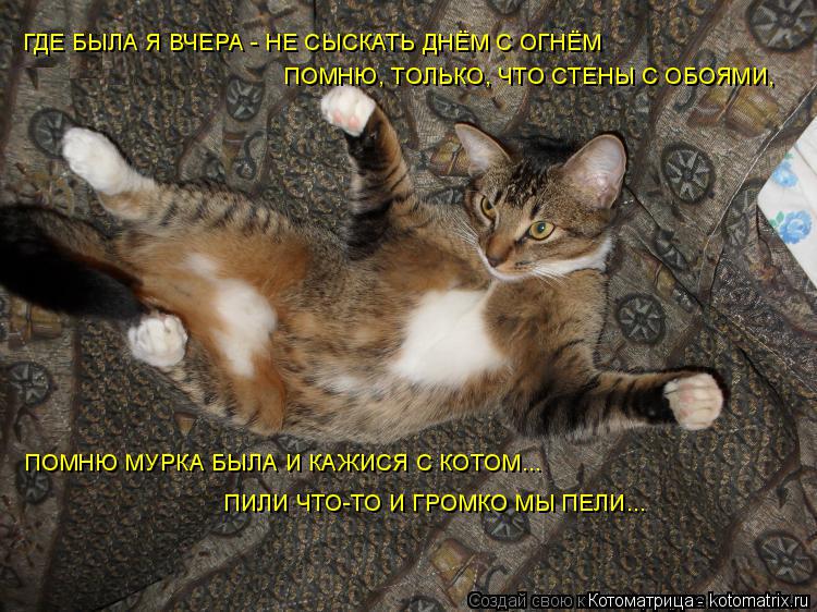 ПОМНЮ МУРКА БЫЛА И КАЖИСЯ С КОТОМ... ПИЛИ ЧТО-ТО И ГРОМКО МЫ ПЕЛИ... ГДЕ БЫЛА Я ВЧЕРА - НЕ СЫСКАТЬ ДН... Котоматрица: ПОМНЮ МУРКА БЫЛА И КАЖИСЯ С КОТОМ... ПИЛИ ЧТО-ТО И ГРОМКО МЫ ПЕЛИ... ГДЕ БЫЛА Я ВЧЕРА - НЕ СЫСКАТЬ ДНЁМ С ОГНЁМ ПОМНЮ, ТОЛЬКО, ЧТО СТЕНЫ С ОБОЯМИ,