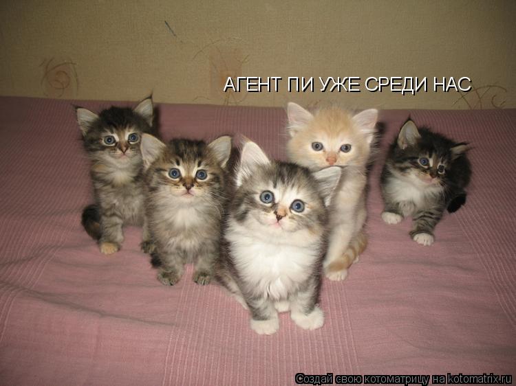 АГЕНТ ПИ УЖЕ СРЕДИ НАС... Котоматрица: АГЕНТ ПИ УЖЕ СРЕДИ НАС