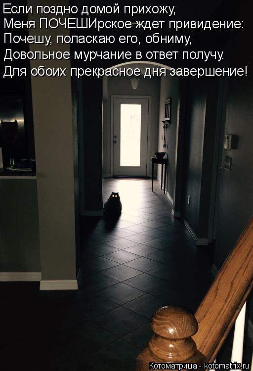 Если поздно домой прихожу, Меня ПОЧЕШИрское ждет привидение: Почешу, поласкаю его, обниму, Довольное ... Котоматрица: Если поздно домой прихожу, Меня ПОЧЕШИрское ждет привидение: Почешу, поласкаю его, обниму, Довольное мурчание в ответ получу. Для обоих прек