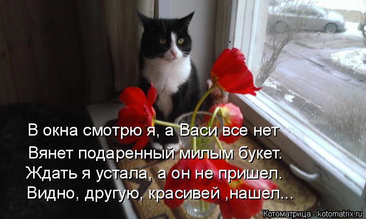 Вянет подаренный милым букет. В окна смотрю я, а Васи все нет Ждать я устала, а он не пришел. Видно, ... Котоматрица: Вянет подаренный милым букет. В окна смотрю я, а Васи все нет Ждать я устала, а он не пришел. Видно, другую, красивей ,нашел...